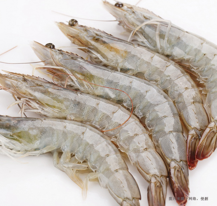 厄瓜多爾南美白蝦進(jìn)口報(bào)關(guān)資料