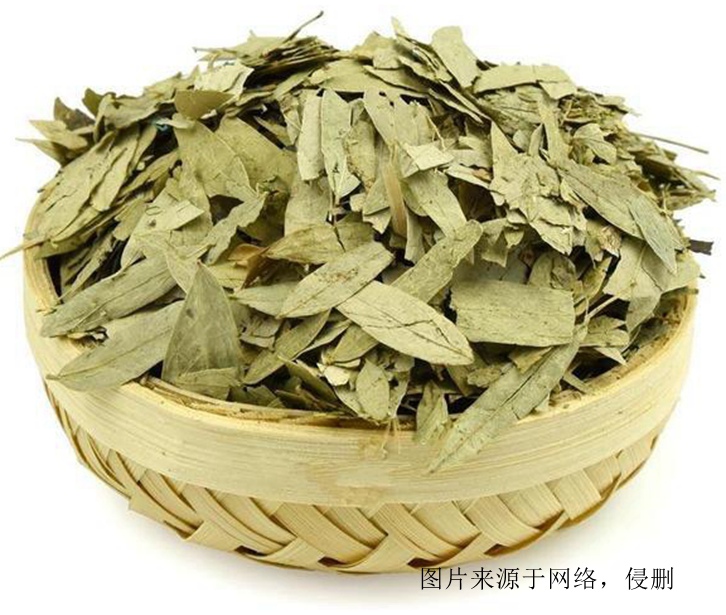 印度番瀉葉進(jìn)口報關(guān)資料