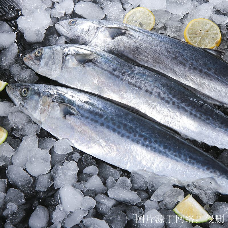 越南進口冰鮮魚清關(guān)流程