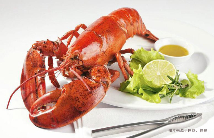 墨西哥龍蝦進口報關資料