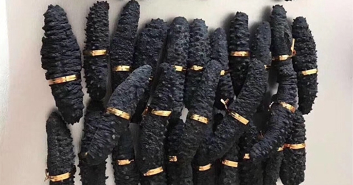 澳大利亞海參進口報關資料