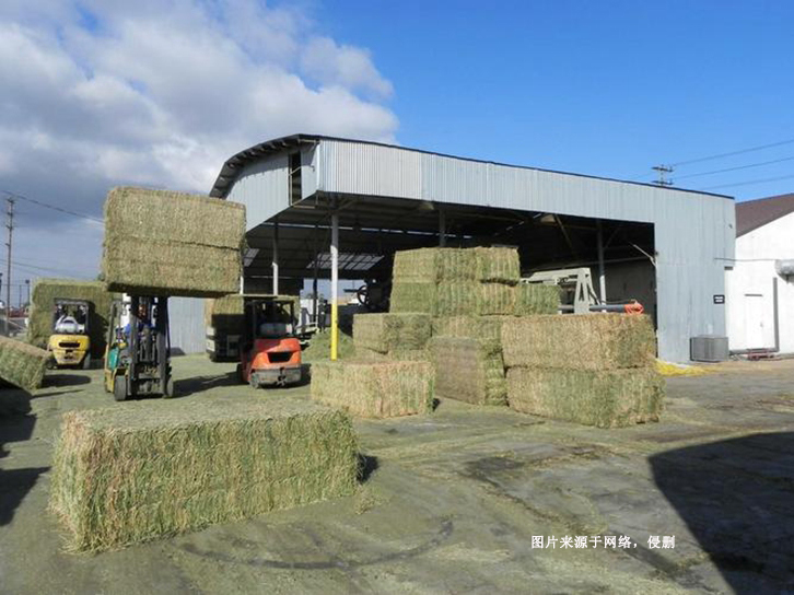 南非苜蓿草進(jìn)口報(bào)關(guān)費(fèi)用-節(jié)省50%飼料報(bào)關(guān)報(bào)檢費(fèi)用