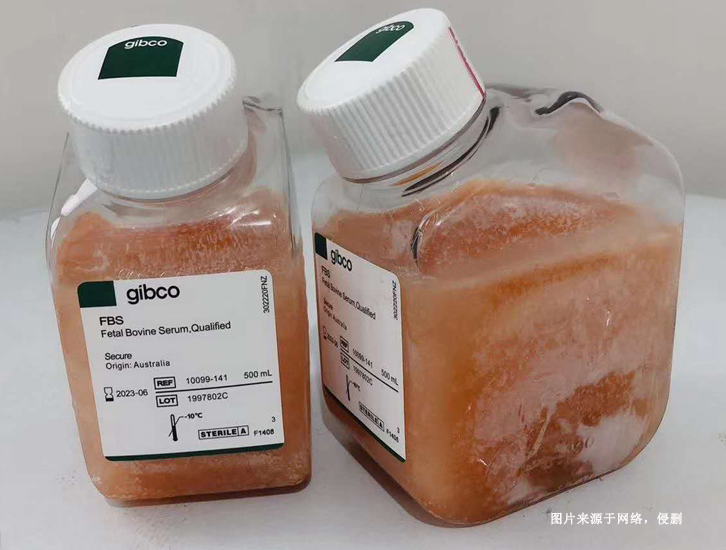 進口新西蘭牛血清蛋白報關資質(zhì)