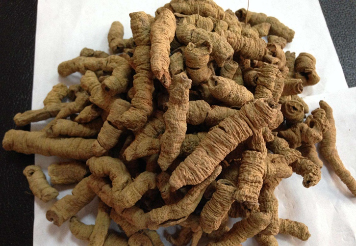 進(jìn)口藥材巴戟天報(bào)關(guān)