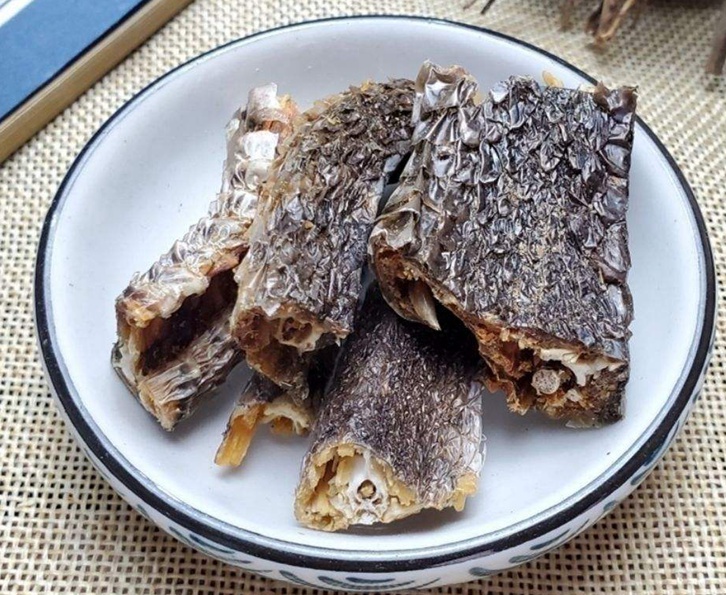 印度尼西亞烏梢蛇進(jìn)口報(bào)關(guān)資料