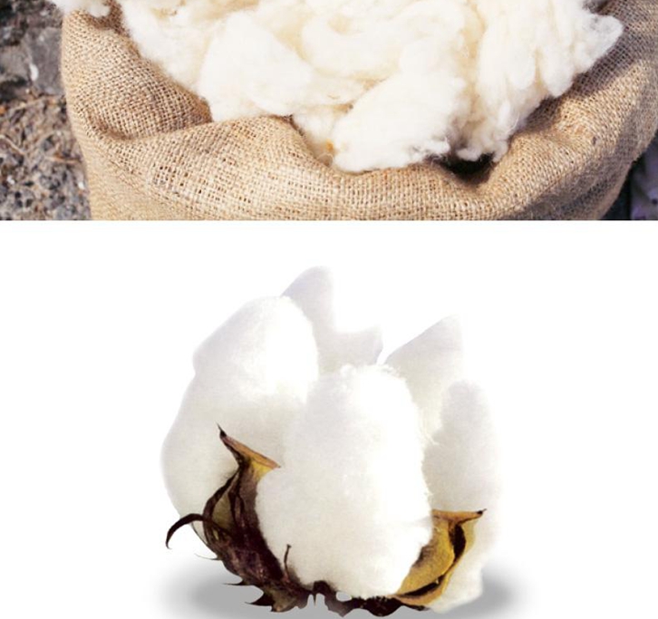 羊毛進口清關要多久