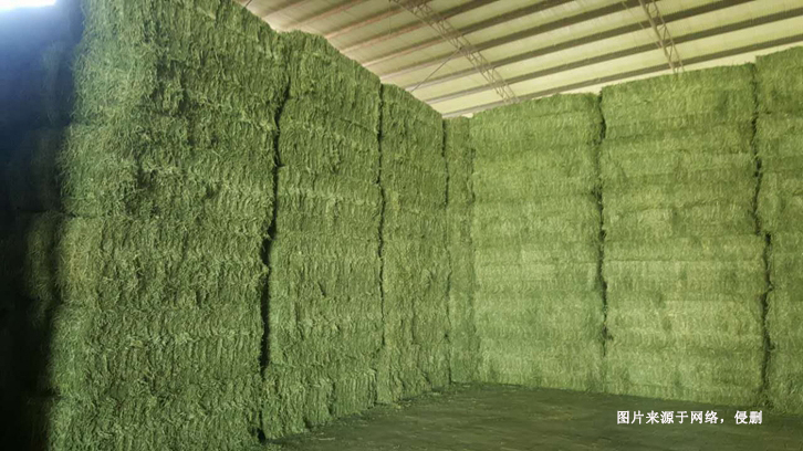 進(jìn)口意大利苜蓿草報關(guān)流程