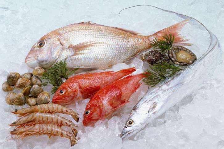 廣州冷凍品進口報關(guān)公司哪家好？廣州報關(guān)行排名