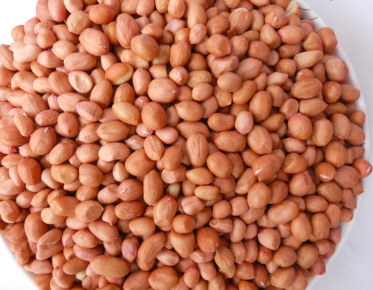 廣州花生米進(jìn)口報關(guān)代理