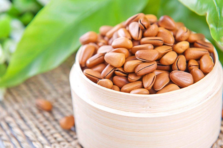 進(jìn)口松子清關(guān)公司