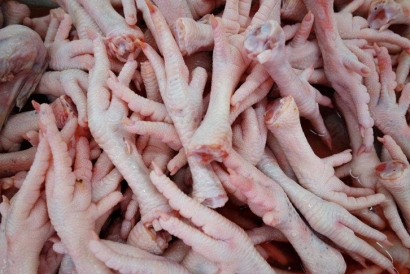 深圳雞爪進口清關(guān)公司一站式雞爪進口門到門服務