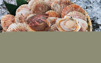 菲律賓扇貝進口報關原來沒那么復雜