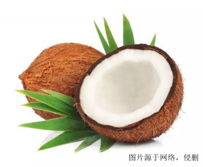 進口椰子怎么清關？斯里蘭卡干椰子進口報關流程