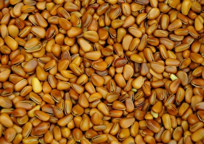 「食品進口」上海報關(guān)公司|阿富汗松子進口清關(guān)案例