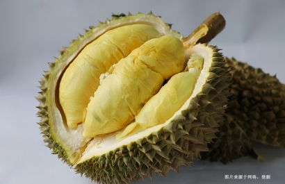 越南榴蓮進(jìn)口清關(guān)資料提供這6樣-19年水果報(bào)關(guān)行