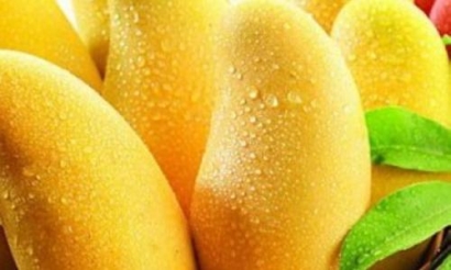 泰國芒果進口清關報關代理流程以及需要的單證資料