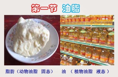 動(dòng)物油脂進(jìn)口報(bào)關(guān)代理難點(diǎn)以及所需資料