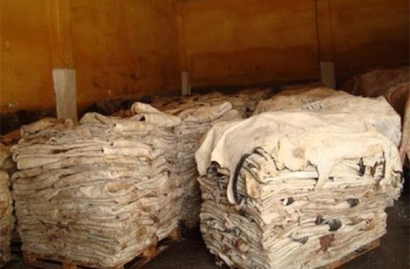 鹽濕皮進口清關的流程以及所需資料，請查收!