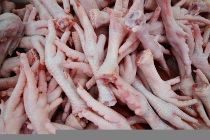 深圳雞爪進口清關公司一站式雞爪進口門到門服務