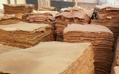 進口紙漿報關(guān)之前必看的知識點，進口商注意啦！