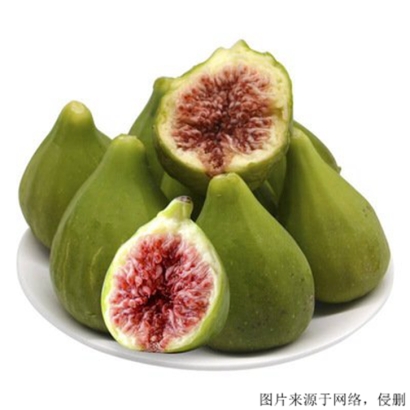常州進(jìn)口食品報(bào)關(guān)_了解土耳其無(wú)花果的進(jìn)口流程與優(yōu)勢(shì)