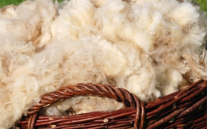 進口羊毛報關一般貿易進口流程是怎樣的？