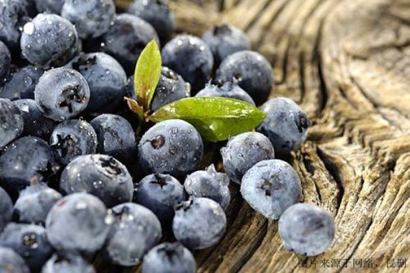 食品進(jìn)口報(bào)關(guān)單證，藍(lán)莓濃縮粉怎么進(jìn)口？