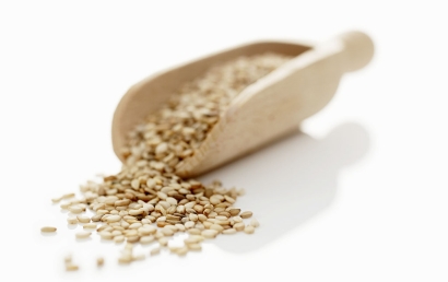 廣州芝麻進口清關代理服務