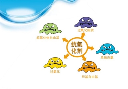 抗氧化劑進口報關(guān)流程手續(xù)經(jīng)驗豐富