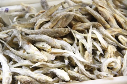 海鮮干進口報關公司推薦_海鮮干報關代理公司哪家好