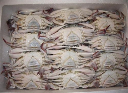 進口海鮮清關您需要注意以下這些事項