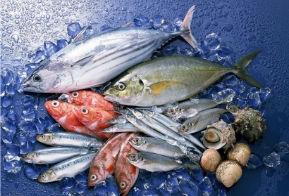 美國冷凍魚水產(chǎn)品進口清關(guān)關(guān)稅_青島港水產(chǎn)品報關(guān)