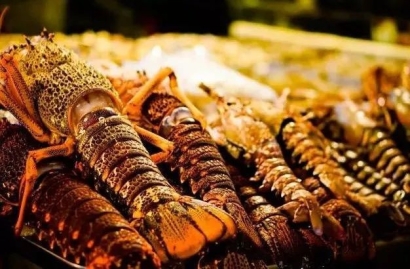 加拿大進口波士頓龍蝦報關(guān)到上海機場水產(chǎn)品案例