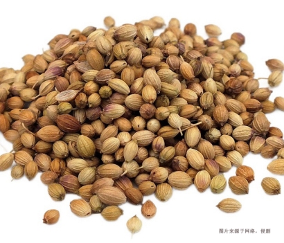 廣州南沙港進口印度芫荽子報關流程_香料通關要點