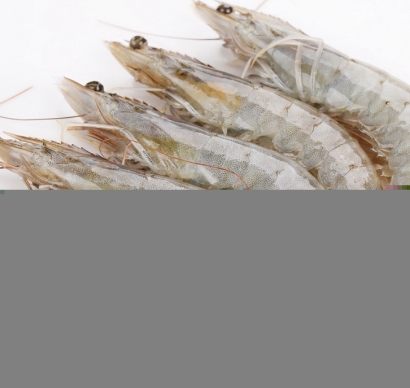 越南冷凍南美白對(duì)蝦進(jìn)口清關(guān)資料到上海外高橋案例