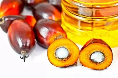 天津棕櫚油進(jìn)口清關(guān)費(fèi)用_食用棕櫚油報(bào)關(guān)關(guān)稅多少