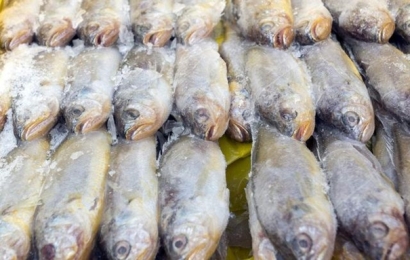 青島冷凍魚(yú)進(jìn)口清關(guān)實(shí)用知識(shí)，建議看看