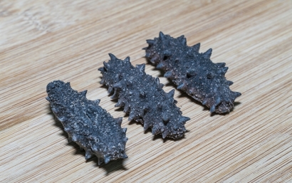 仿刺參進口報關檢驗檢疫需要的資料