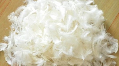 鴨毛進口報關，給大家普及一下相關知識