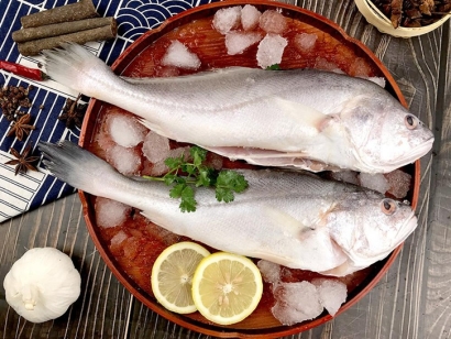 生鮮進口報關(guān)代理如何辦理手續(xù)？「報關(guān)流程」