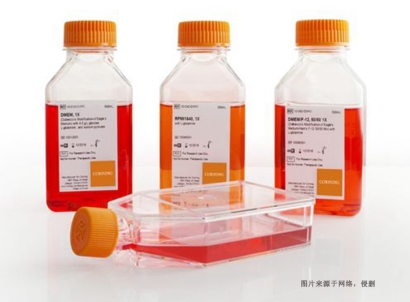 美國(guó)細(xì)胞培養(yǎng)試劑進(jìn)口報(bào)關(guān)費(fèi)用_生物試劑特殊物品申報(bào)