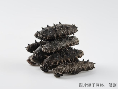 廣州進(jìn)口越南仿刺參清關(guān)流程-19年冷凍水產(chǎn)品報(bào)關(guān)行