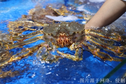 進口菲律賓海鮮清關費用怎么算_青島進口海鮮報關