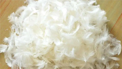 越南到上海外高橋鴨毛進口報關(guān)流程代理案例