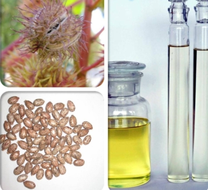 印度蓖麻油進口清關資料_廣州植物油進口報關難點