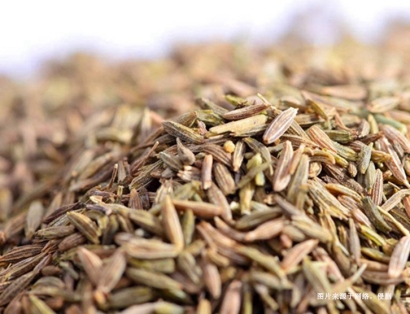 上海枯茗子進(jìn)口清關(guān)流程：如何順利引入國內(nèi)市場？