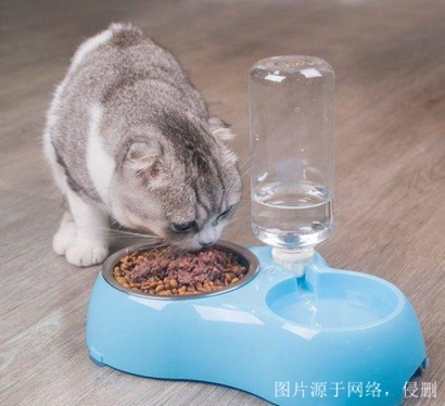 3分鐘看懂山東煙臺進口尼泊爾寵物用品報關(guān)資料