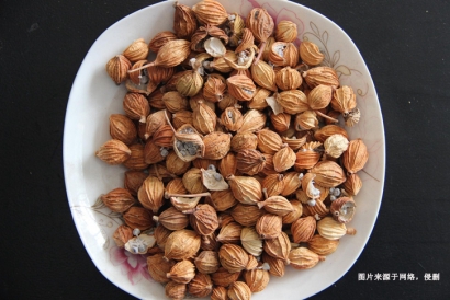 越南豆蔻到深圳港進口清關操作流程及細節｜詳解信息