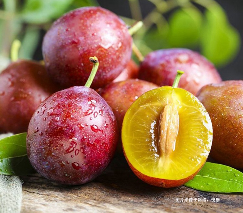 進(jìn)口智利西梅報關(guān)流程 進(jìn)口智利西梅報關(guān)流程