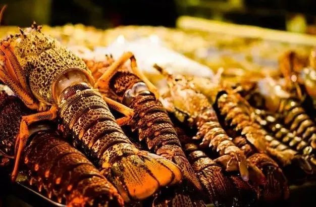 加拿大進口波士頓龍蝦報關 加拿大進口波士頓龍蝦報關